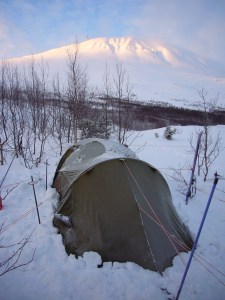 Morgenstund HAR gull i munn!