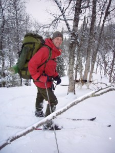 Fra Stubbvollen og nedover skogen