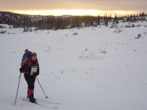 Over myrene ved Stråsjøen med Stubbvollen i bakgrunnen