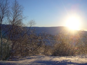 Utsikten fra Prestøyhytta