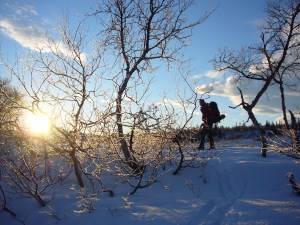 Starten på oppstigningen av Holmfjellet