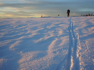 På vei opp mot Brenntopp