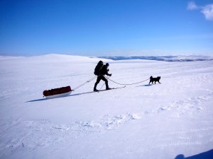 Lang, lang rekke på vei mot foten til Storsølnkletten