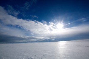 Vidda på sitt beste