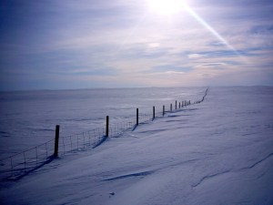 Reinsgjerdene strakk seg langt innover fjellet.
