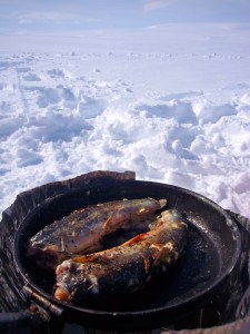 Stekt røye til lunsj