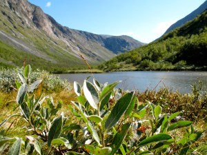 Utsikt inn dalen fra leirplassen