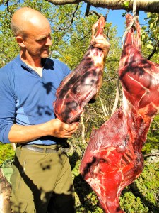 Mye godt kjøtt til vinteren!