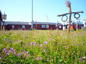 Tydelig at Storerikvollen ligger nært svenskegrensa, med Maistang på tunet!