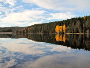 Nydelig start på fredags morgen.