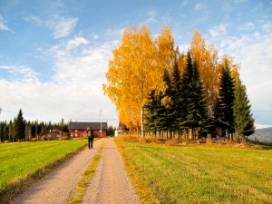 En fantastisk høsthelg