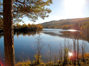 Lunsjplassen vi ikke hadde lyst til å forlate