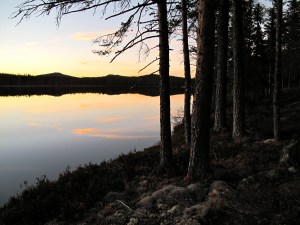 Vi kom fram til Netsjøen i skumringa og fant hytta før det ble helt mørkt