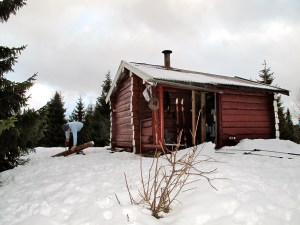 Vedhogst ved Smalberget