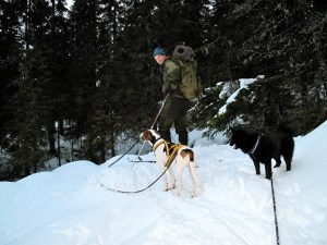 Vår eneste lille skitur til nærmeste utsiktspunkt