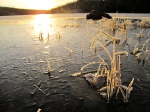 Naturens eget kunstverk
