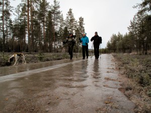 Turen ble lagt til glattlagte skogsveier og stavene ble svært så kjære hjelpemidler