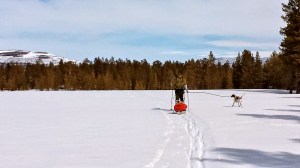 Skitur på bare 3-400 meter kan være fin den også!