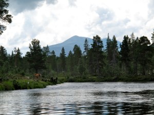 Ned Sølna med Sølenmassivet midt imot
