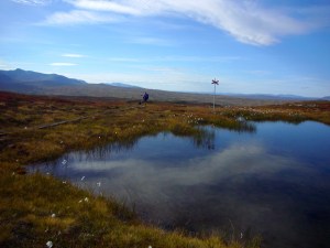 Godt merket og gode stier å gå på