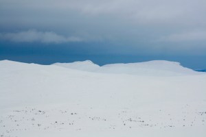 Den nydelige blåtimen