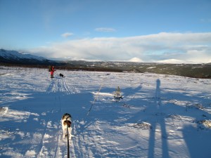 I det vi er igang med siste del av siste etappe skimtes Heidalsmuen i det fjerne - nok et turmål på ønskelista