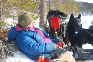 Nok en lunsj i lyngen. Foto Mari Kolbjørnsrud