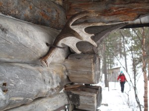 På vei tilbake fra do...