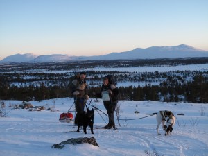 Oppe fra furuskogen, på vestsiden av Skjebrofjellet, med Storsvuku i bakgrunnen. Snart fremme på Fautbua.