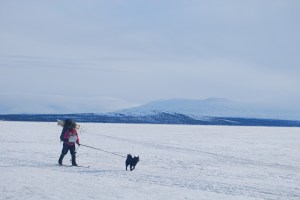 Siste etappe over en islagt Femunden. Foto Mari Kolbjørnsrud